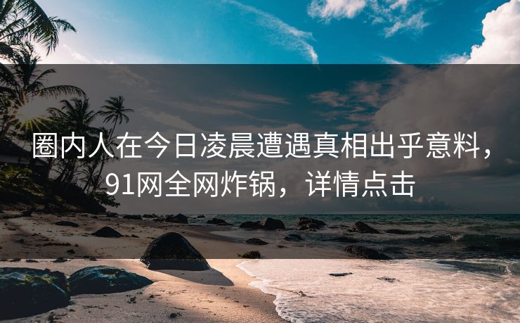 圈内人在今日凌晨遭遇真相出乎意料，91网全网炸锅，详情点击