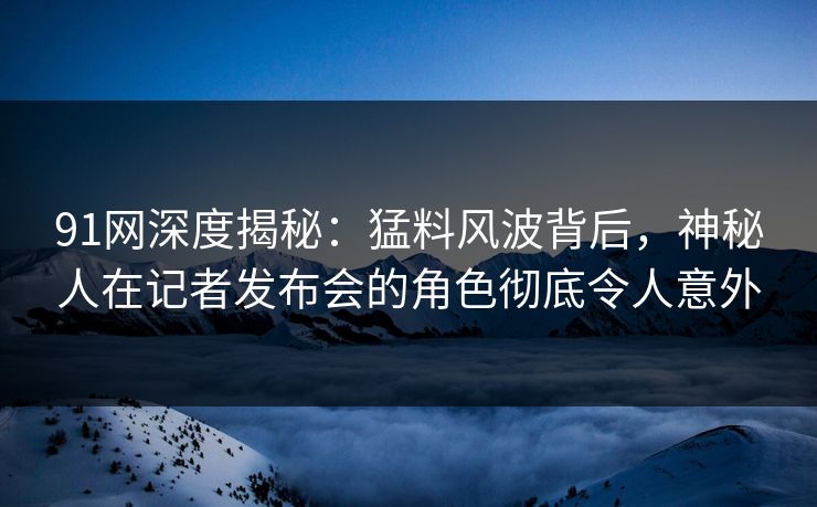 91网深度揭秘：猛料风波背后，神秘人在记者发布会的角色彻底令人意外