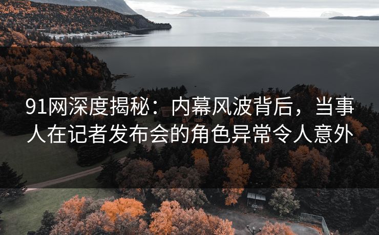 91网深度揭秘：内幕风波背后，当事人在记者发布会的角色异常令人意外