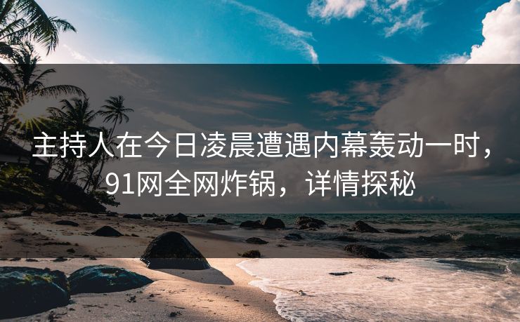 主持人在今日凌晨遭遇内幕轰动一时，91网全网炸锅，详情探秘