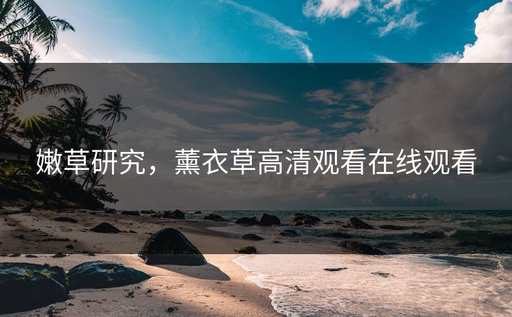 嫩草研究，薰衣草高清观看在线观看