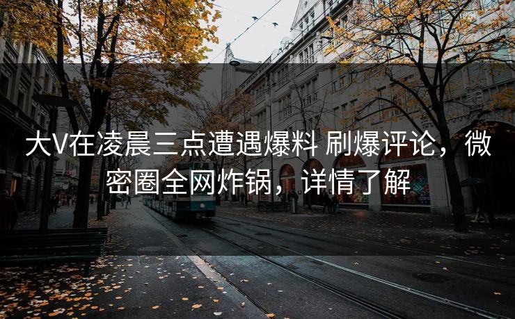 大V在凌晨三点遭遇爆料 刷爆评论，微密圈全网炸锅，详情了解