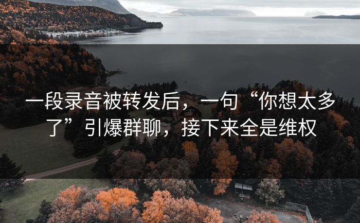 一段录音被转发后，一句“你想太多了”引爆群聊，接下来全是维权
