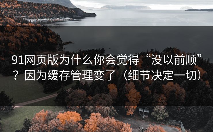91网页版为什么你会觉得“没以前顺”？因为缓存管理变了（细节决定一切）